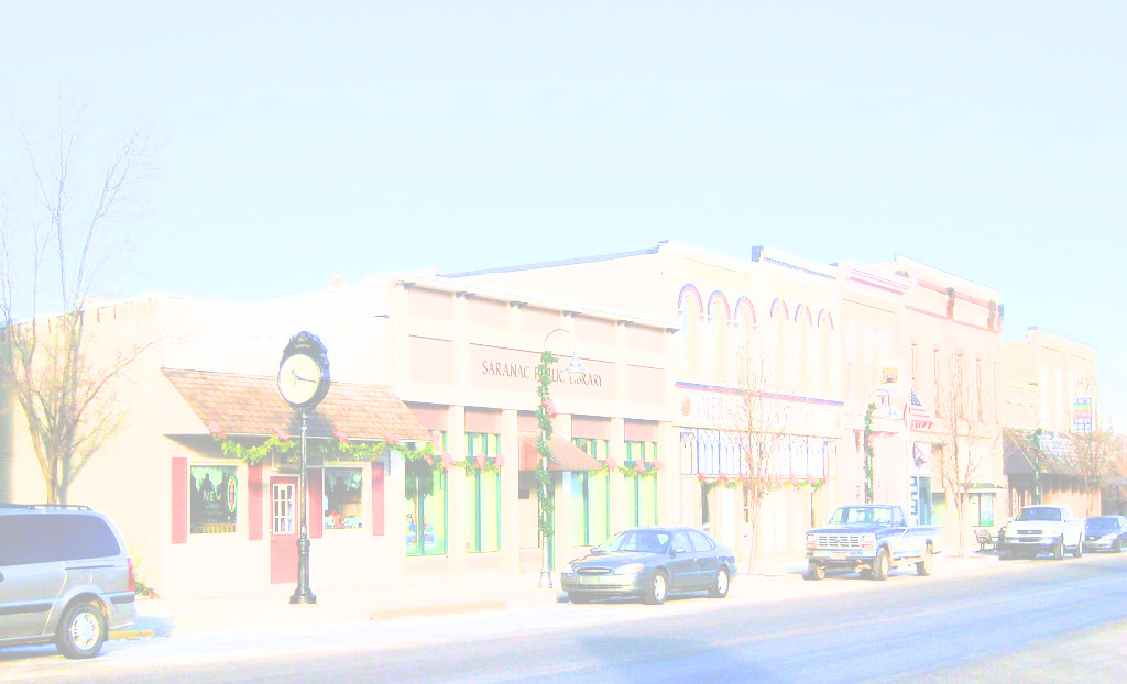 saranac library winter photo - Edited.jpg